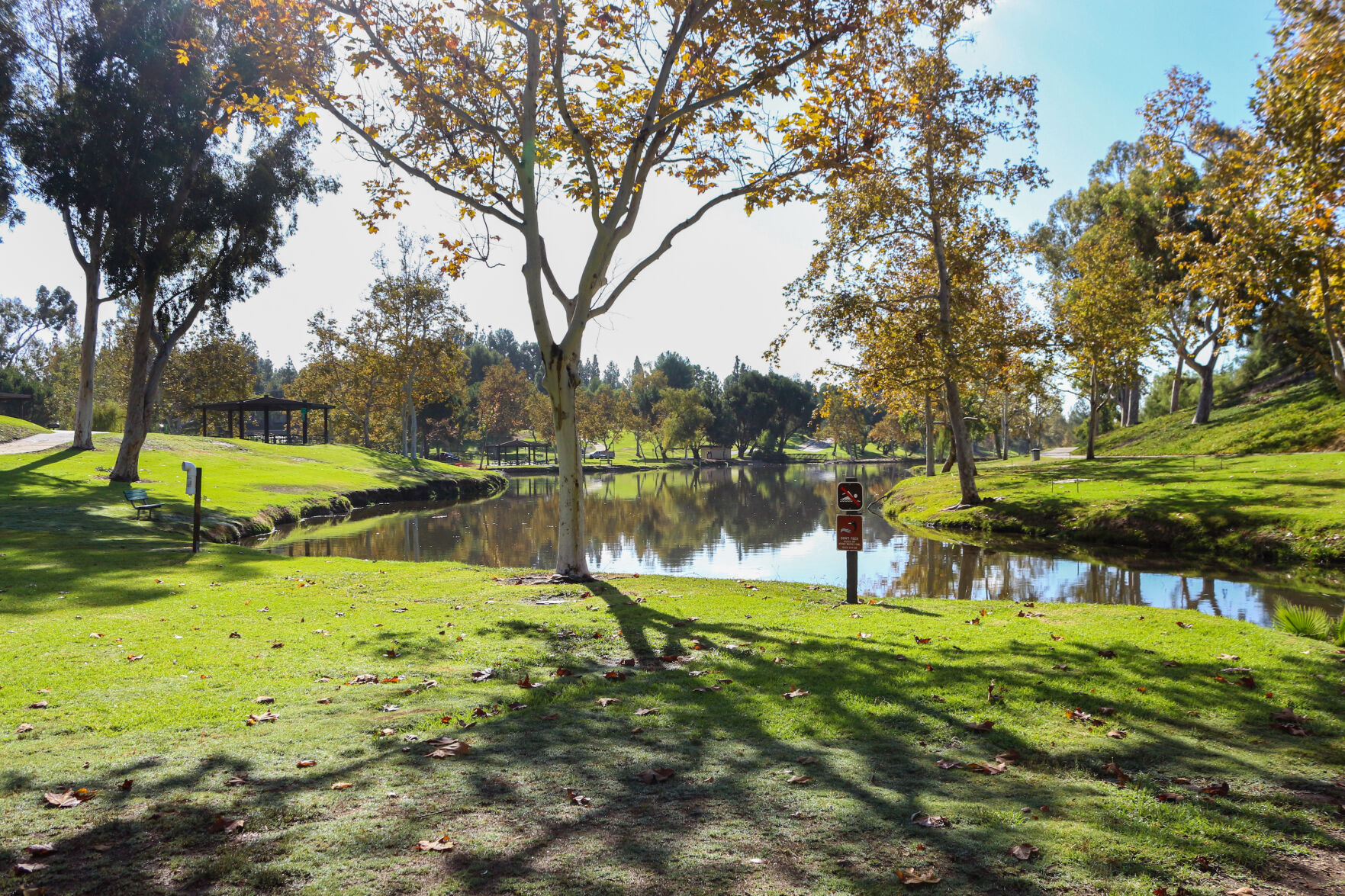 Ted Craig Regional Park